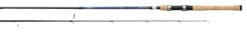 Daiwa AIRD Coastal Inshore Spinning Rods