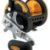 Daiwa Seagate Star Drag Conventional Reels 2 Daiwa Seagate Star Drag Conventional Reels -Shimano Fishing Shop AD Seagate40H