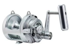 Accurate ATD Platinum Twin-Drag Conventional Reels -Shimano Fishing Shop ATD 50