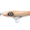 Afterhours Jr. Pencil Popper -Shimano Fishing Shop AfterhoursJrPencilSquid