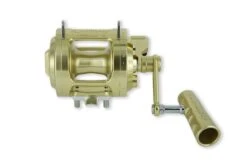 Alutecnos Albacore 1-S Single Speed Conventional Reels -Shimano Fishing Shop Albacore 30 narrow 1 speed Gold SAL03000a front