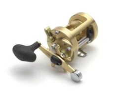 Shimano Calcutta B Baitcasting Conventional Reels -Shimano Fishing Shop CT700B