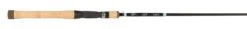 G.LOOMIS G. Loomis E6X Inshore Saltwater Conventional Rods -Shimano Fishing Shop E6X 782C FNP 3