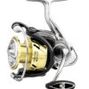 Daiwa Procyon LT Spinning Reels 1 Daiwa Procyon LT Spinning Reels -Shimano Fishing Shop PCNLT3000DCXH 1000x ff512e0f 62c6 4b84 a7cd 6547f528d14f