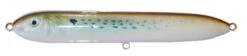 Doc Spook Lures -Shimano Fishing Shop Pogy 550x125 1