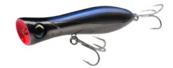 Yo-Zuri Bull Pop -Shimano Fishing Shop R1154 CGHB