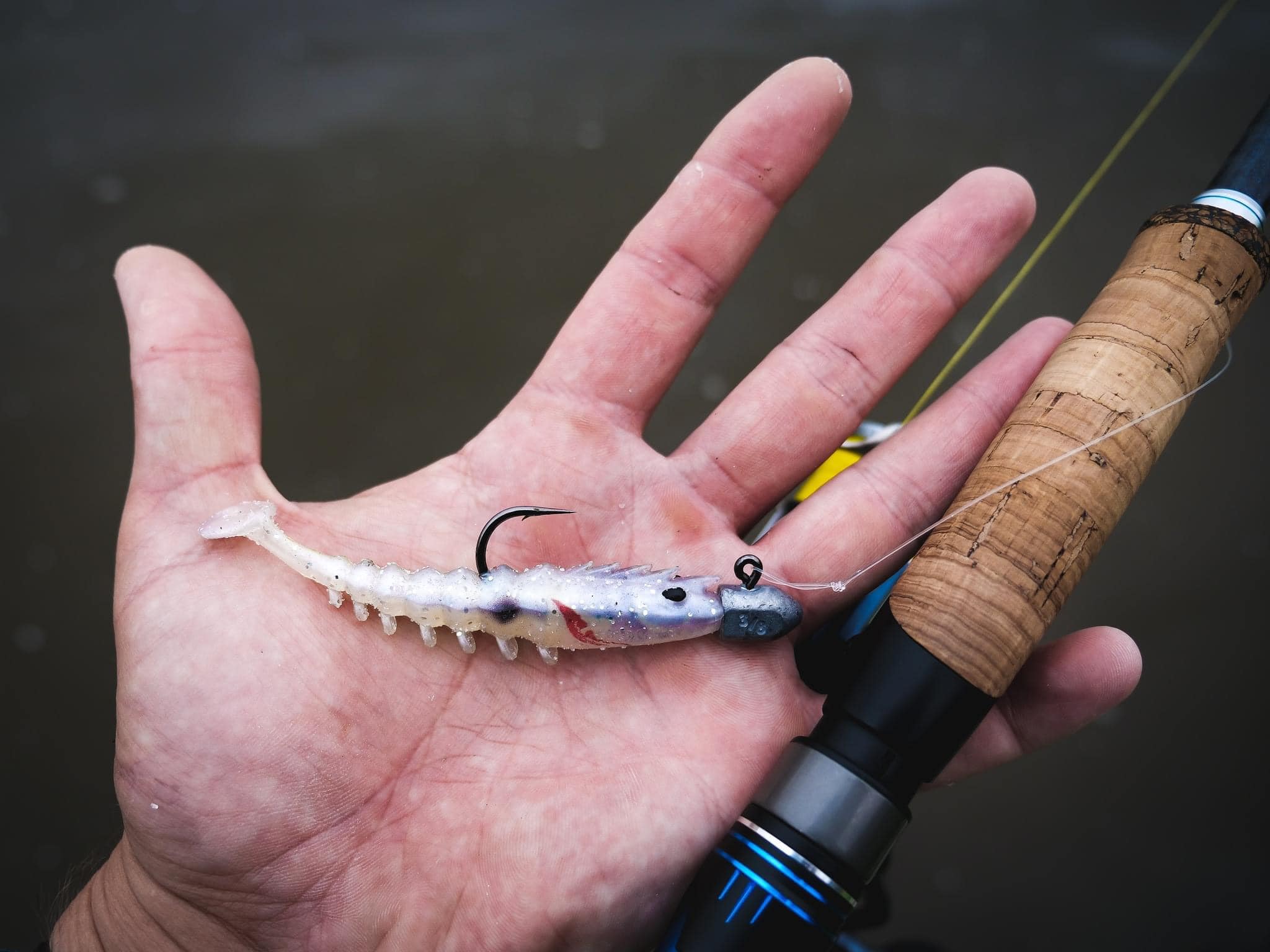 Shimano Fishing Shop 2 Shimano Fishing Shop -Shimano Fishing Shop Shimano Fishing1