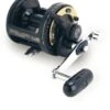 Shimano TLD Triton Lever Drag Conventional Reels -Shimano Fishing Shop TLD15