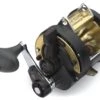 Shimano TLD II Two-Speed Lever Drag Conventional Reels -Shimano Fishing Shop TLD20IIA