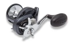 Shimano Torium Star Drag Conventional Reels 18 Shimano Torium Star Drag Conventional Reels -Shimano Fishing Shop Torium 30HG L 2