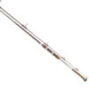 Tica UMGA Surf Spinning Rods