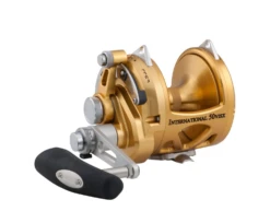 Penn International VISX Two-Speed Reels -Shimano Fishing Shop download 10 85b7d9b6 b7b5 4c99 8d88 fb15f714cbe5