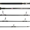 Jigging World Ghost Hunter Popping Spinning Rods -Shimano Fishing Shop ghp200 1024x1024 40a8d306 ab05 4dbf a790 5eec14e7e75c