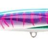 Nomad Design Riptide 155 6" Stickbaits 1 Nomad Design Riptide 155 6" Stickbaits -Shimano Fishing Shop rip155 ss pm